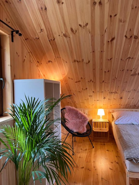 Habitación con techo de madera, cama y planta. en Domki Sekwoja, en Dziwnów