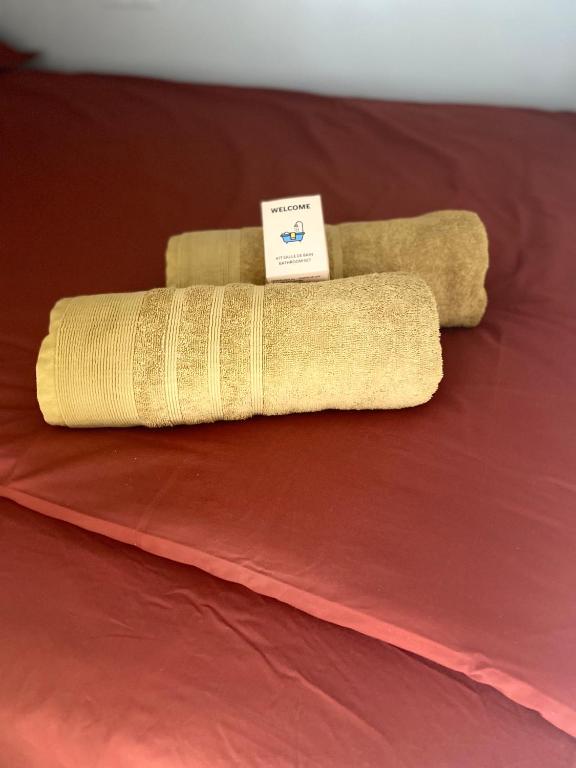 Postel nebo postele na pokoji v ubytování Appartements neuf - Frontière de Monaco - clim - WIFI