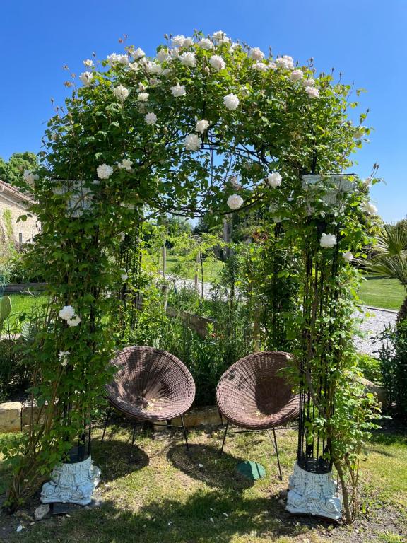 un grupo de tres sillas bajo un árbol con rosas en La Maison Blanche à Saint-Yzans-de-Médoc en Saint-Yzans-de-Médoc