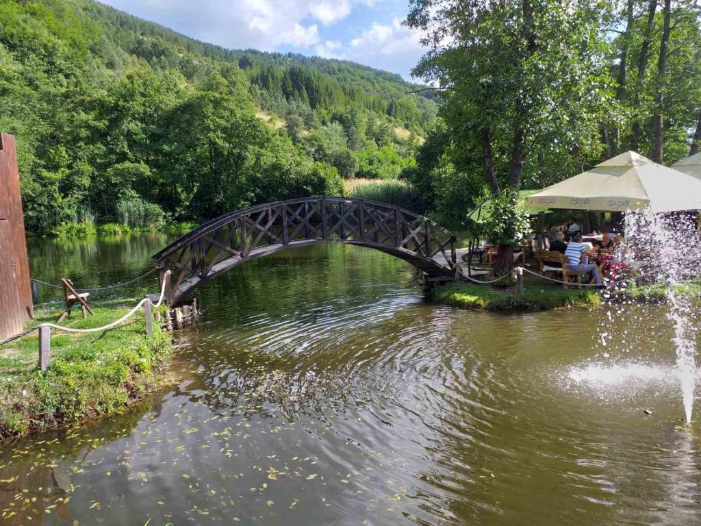 Příroda nedaleko prázdninového domu