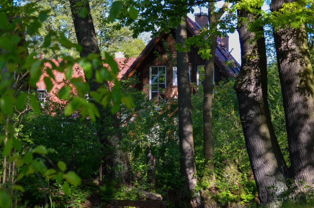 Zahrada ubytování Vierseitenhof Appartements