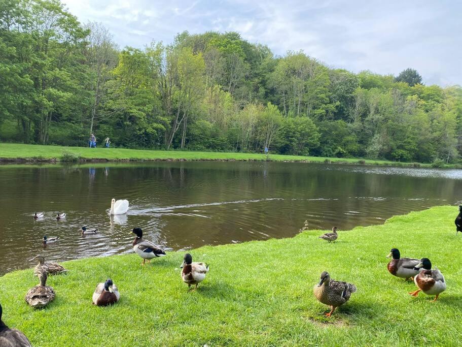 a group of ducks standing on the grass near a lake at Maison Village de La Verrerie in Cherbourg en Cotentin