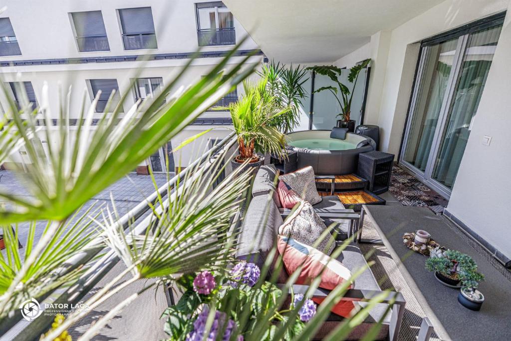 Zahrada ubytování Zemplén Terrace - luxusapartman a belvárosban kültéri fedett jacuzzival