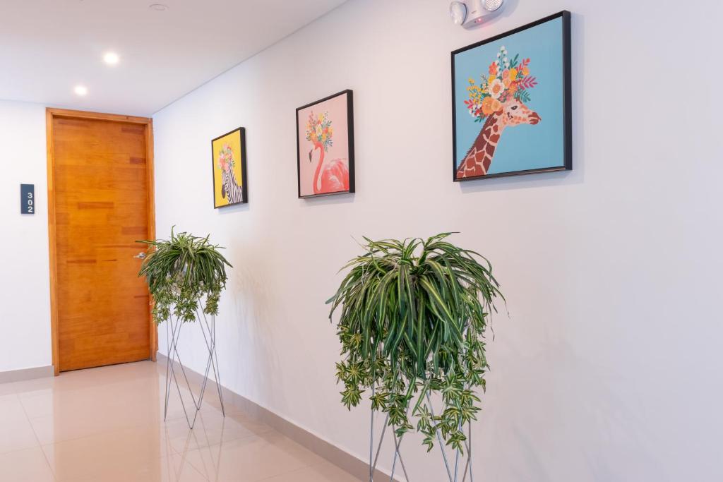 Fotografie z fotogalerie ubytování Infinity Hotel v destinaci Medellín