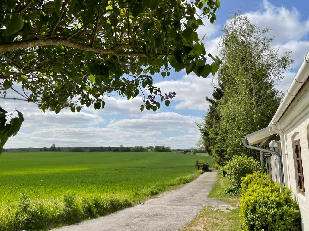 Zahrada ubytování A true nature pearl in idyllic surroundings but close to the city
