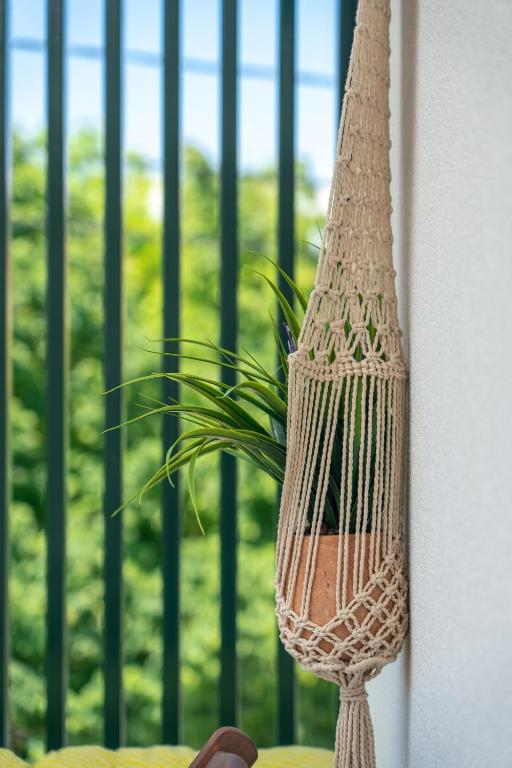 Zahrada ubytování Aphrodite Apartment ideal for holidays in Siviri