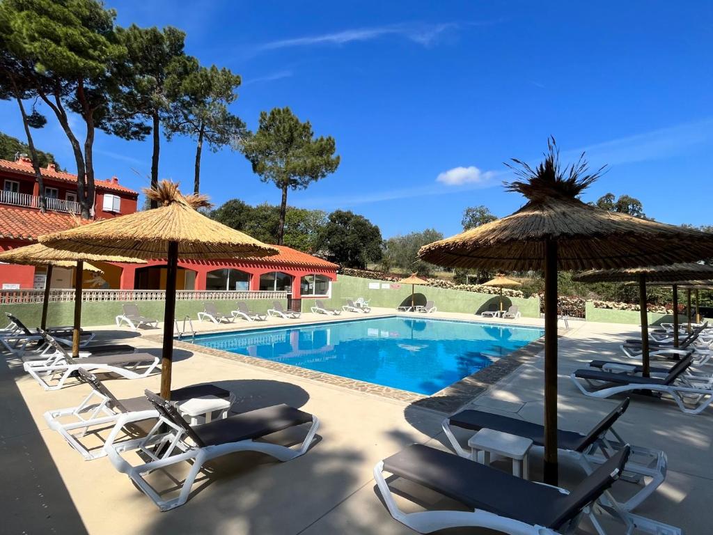 una piscina con sillas y sombrillas en Camping Des Mimosas, en Argelès-sur-Mer
