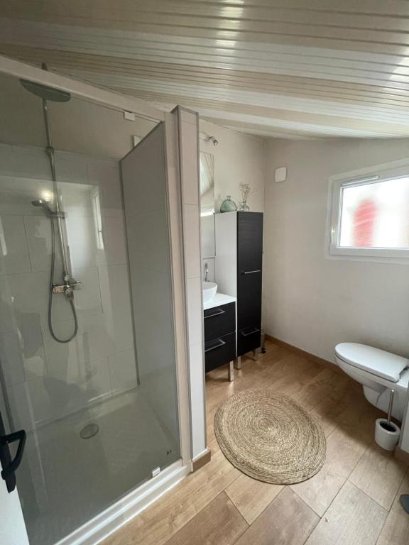a bathroom with a shower and a toilet and a sink at Petit maison avec terrasse proche de Rouen 1h30 de Paris in Bihorel