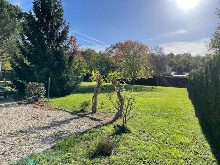 un pequeño árbol en medio de un campo de hierba en Villa entre bordeaux et saint emilion en Cursan