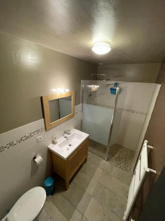 a bathroom with a shower and a sink and a toilet at Appartement Plein Pied La Flèche in La Flèche