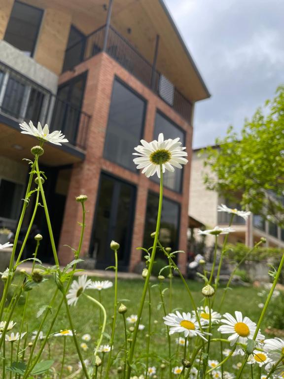 un grupo de flores blancas delante de un edificio en Guest House Shtili, en Prezeti