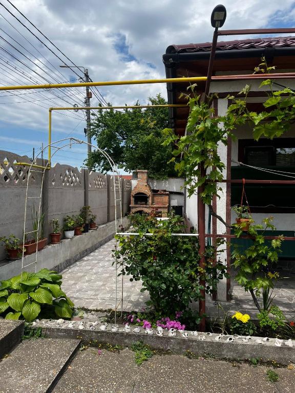 a garden with plants and flowers in front of a house at Casa de vacanță Amy in 2 Mai