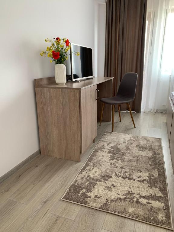 Pensiunea Taisia - Double Or Twin Room With Terrace