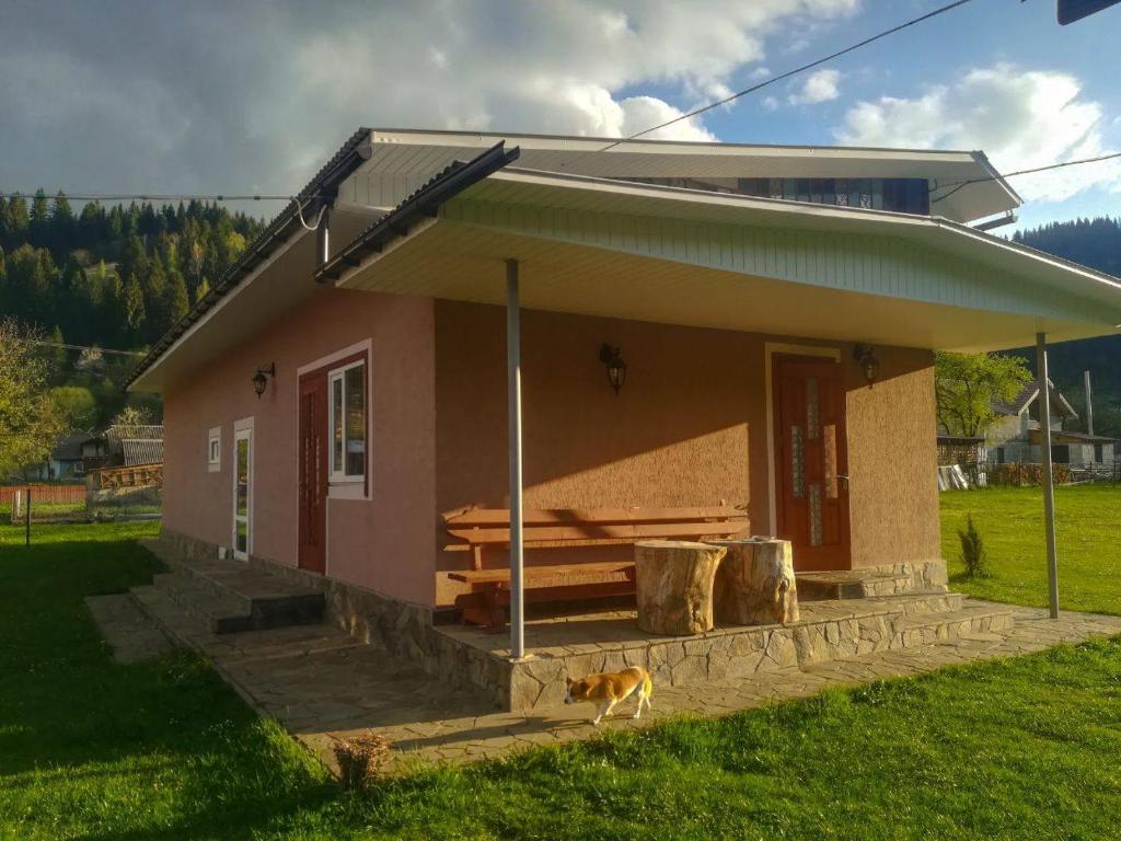 een klein huis met een hond die er voor staat bij Затишний будиночок біля річки in Krivorovnya
