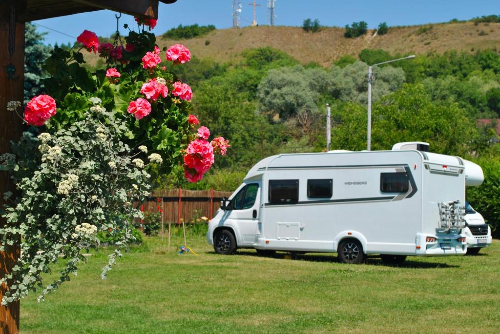 Zahrada ubytování Camping La Foisor Turda