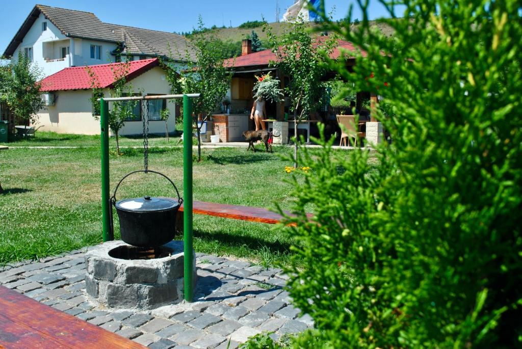 Zahrada ubytování Camping La Foisor Turda