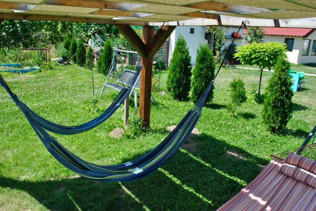 Zahrada ubytování Camping La Foisor Turda
