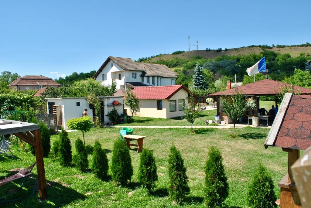 Ein Hof mit Bäumen und Häusern in der Unterkunft La foisor in Turda