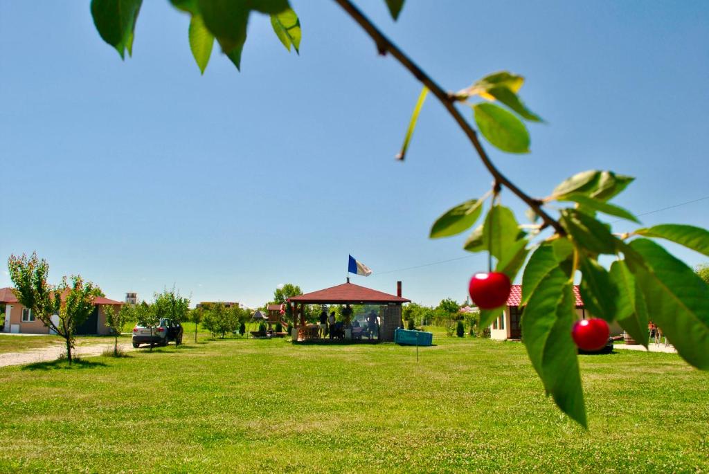Zahrada ubytování Camping La Foisor Turda