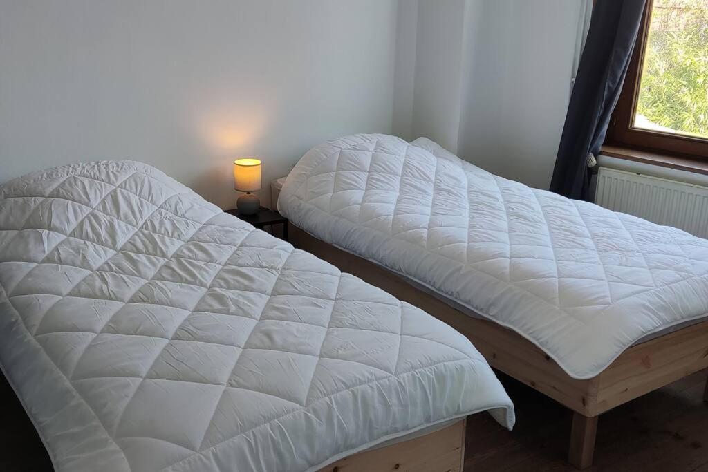 two beds sitting next to a window in a bedroom at TOK TOK Ronchin Maison Proche toutes commodités Lille in Ronchin
