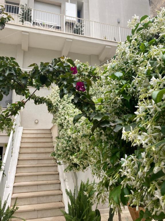 Zahrada ubytování Meraki B&B