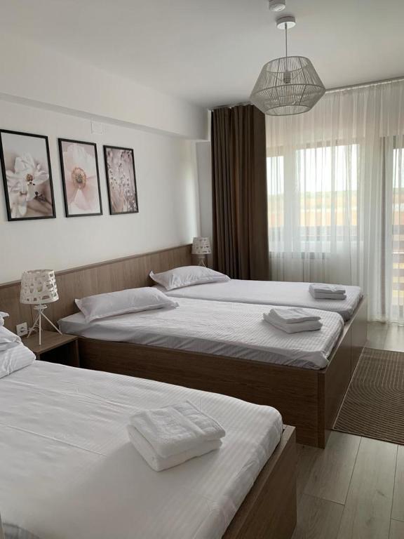 Pensiunea Taisia - Triple Room With Terrace