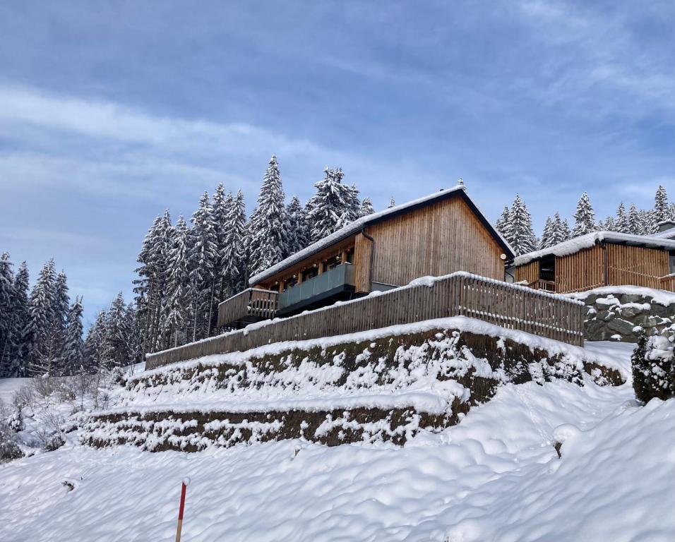 B-Lodge Kärnten v zimě