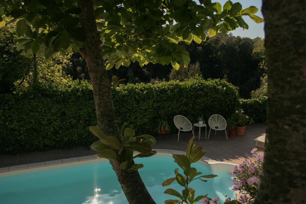 Fotografie z fotogalerie ubytování Casa Magnolia v destinaci Dosríus