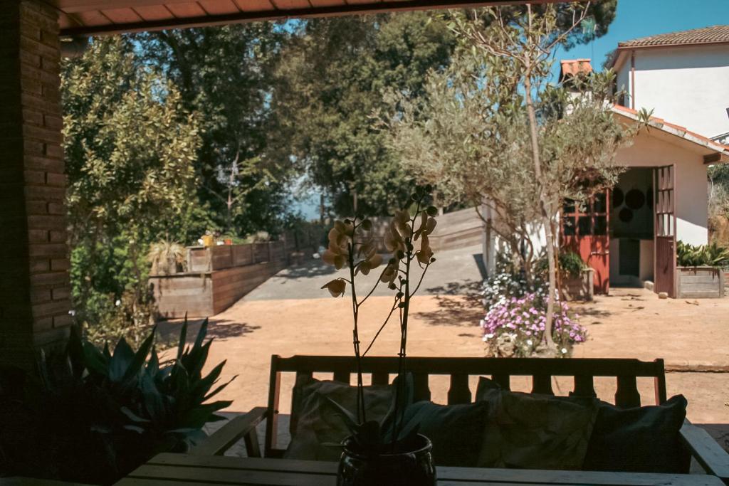 Fotografie z fotogalerie ubytování Casa Magnolia v destinaci Dosríus