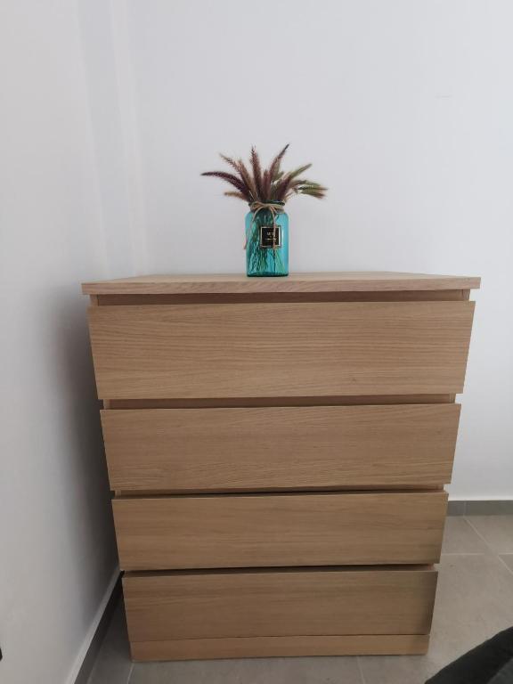 a plant sitting on top of a dresser at Mantalena's house in Antiparos