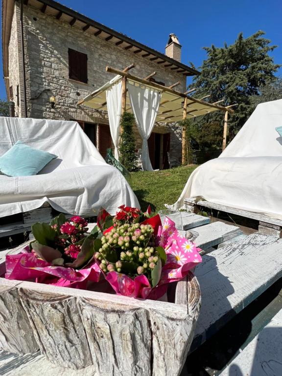 LE CASETTE ASSISI - 2