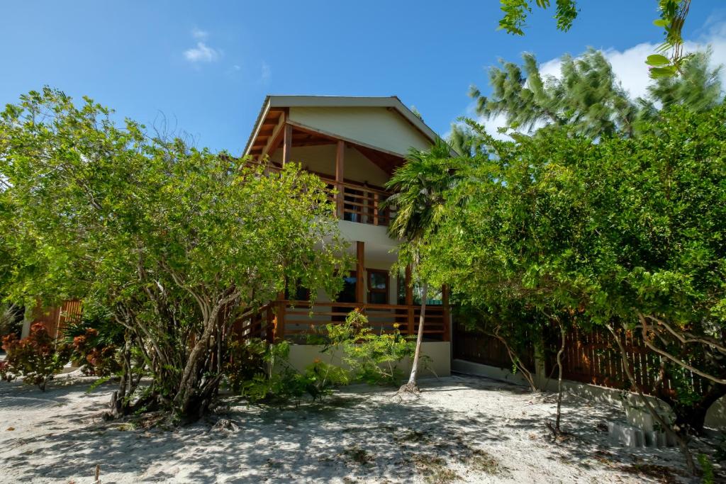 une maison sur la plage avec des arbres devant elle dans l'établissement Cottage 5 at Island Pearl Gold Standard Certified, à Caye Caulker