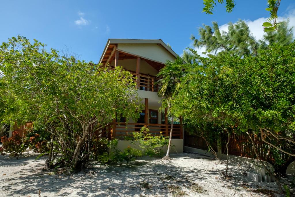 a house on the beach with trees in front of it at Cottage 5 at Island Pearl Gold Standard Certified in Caye Caulker