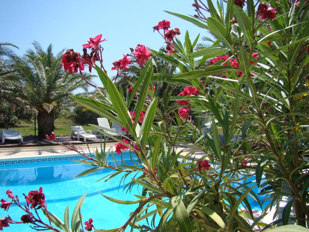 Bazén v ubytování Tropic Hôtel nebo v jeho okolí