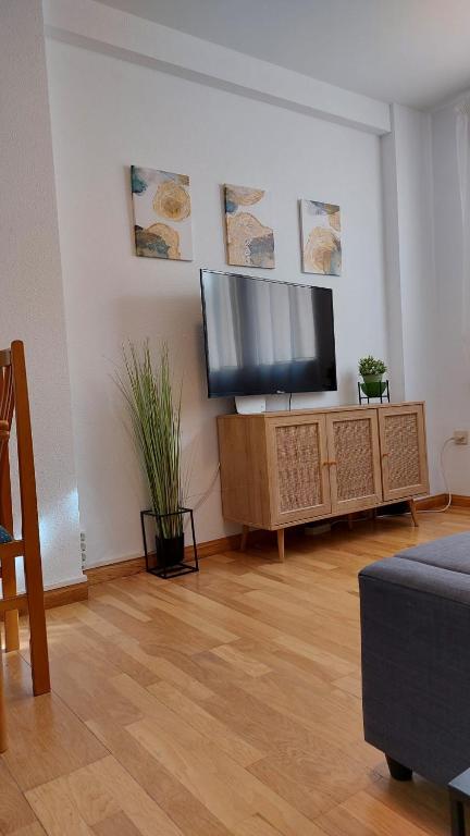 TV a/nebo společenská místnost v ubytování ssolivellasscanfranc