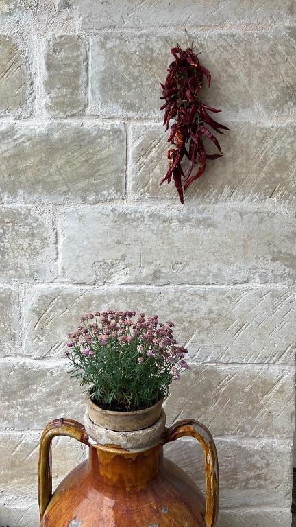 Suite Battisti 7 - 15