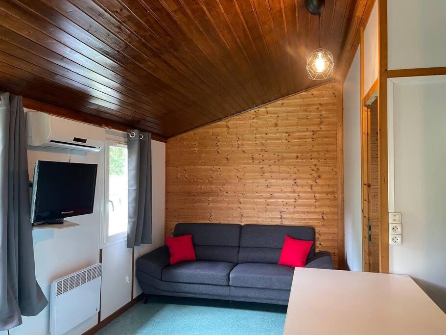 a living room with a couch and a tv at Chalet au bord de l'étang in Sérilhac