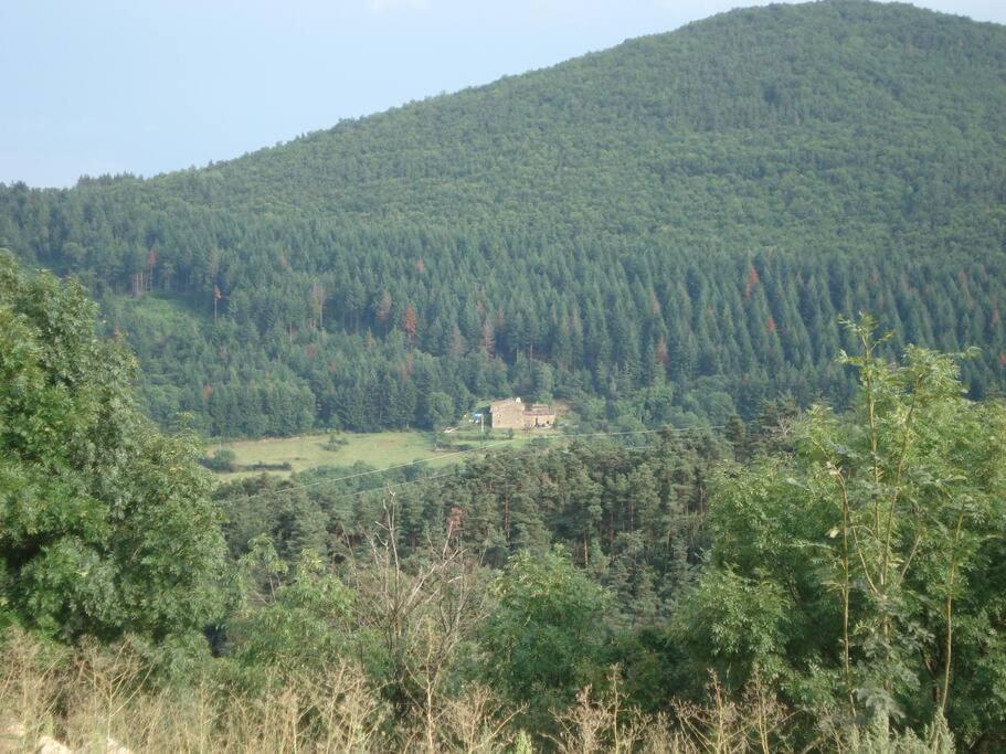 Příroda nedaleko prázdninového domu