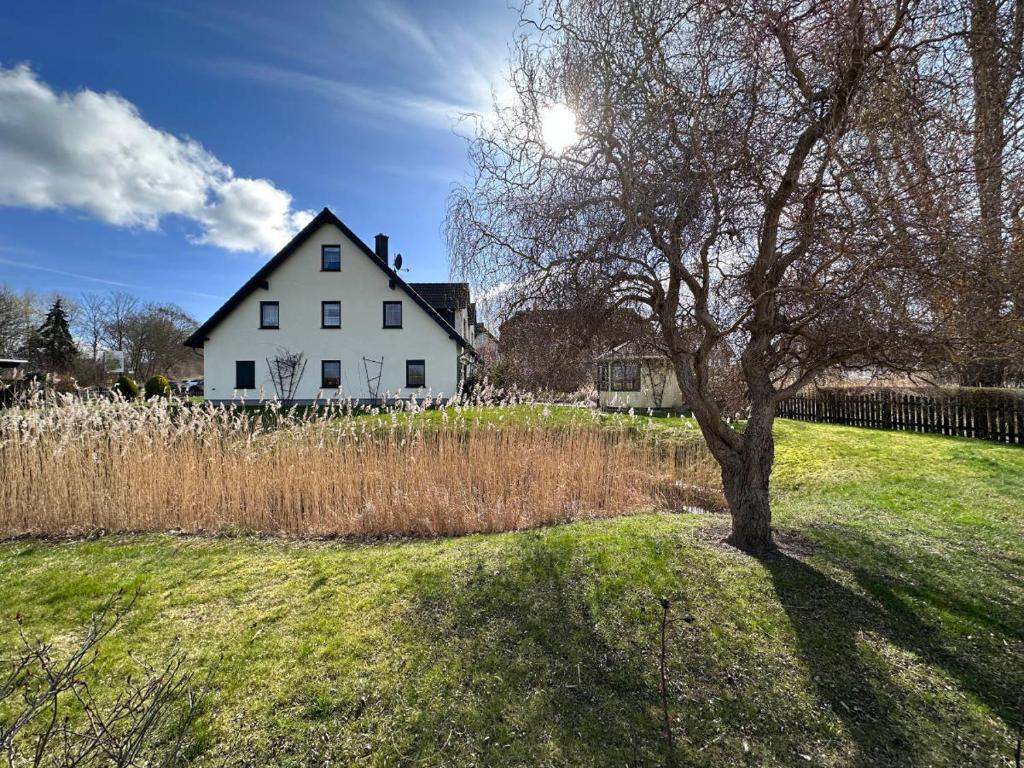 a tree in a field in front of a white house at Ferienhaus/Bungalow Lobbe - 60qm in Lobbe