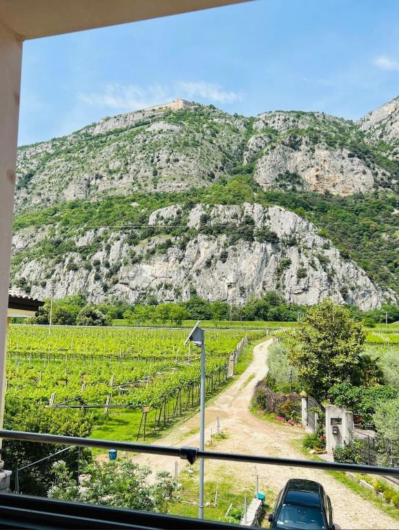 Paesaggio naturale nelle vicinanze del bed & breakfast