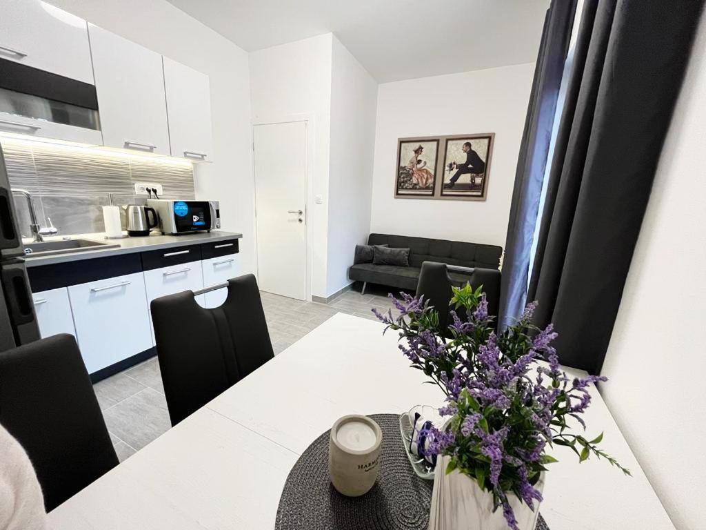 Kuchyňa alebo kuchynka v ubytovaní Apartments T&T