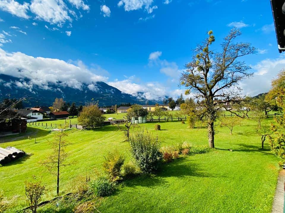 a green field with a tree and mountains in the background at Gästehaus Post Aigner in Greifenburg