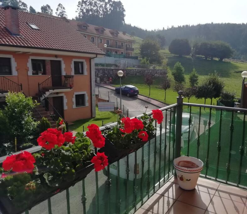 Příroda nedaleko apartmánu