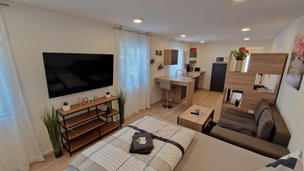 Appartment-Ferienwohnung mit Küche, Bad, kostenlos WLAN, Modern eingerichtet - Superior Apartment