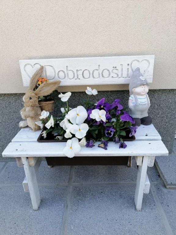 Fotografie z fotogalerie ubytování Sobe pri Roži v destinaci Postojna
