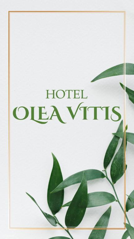 Fotografie z fotogalerie ubytování Olea Vitis v destinaci Međugorje