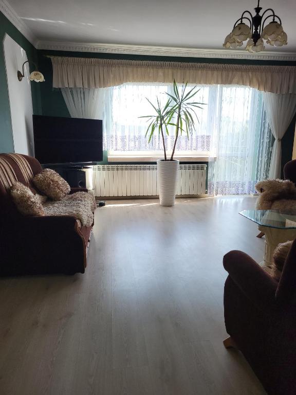 a living room with a couch and a table at Emi Apartament in Ogrodzieniec