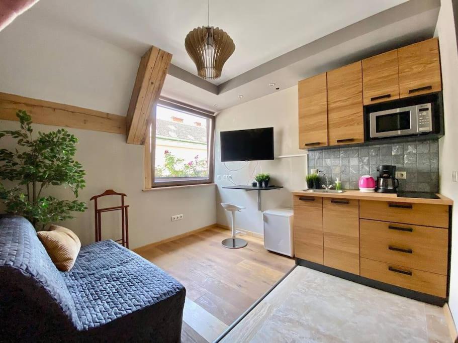 sala de estar con cocina con sofá en Charming studio shared rooftop terrace/Jacuzzi 360 view, en Budapest