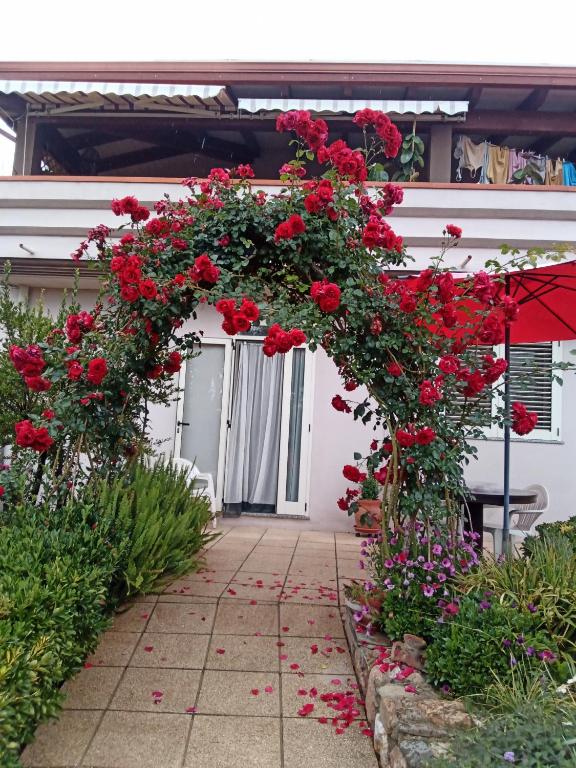 Zahrada ubytování B&B Kazakova