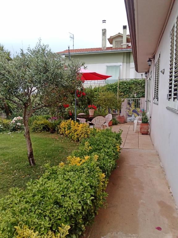 Zahrada ubytování B&B Kazakova